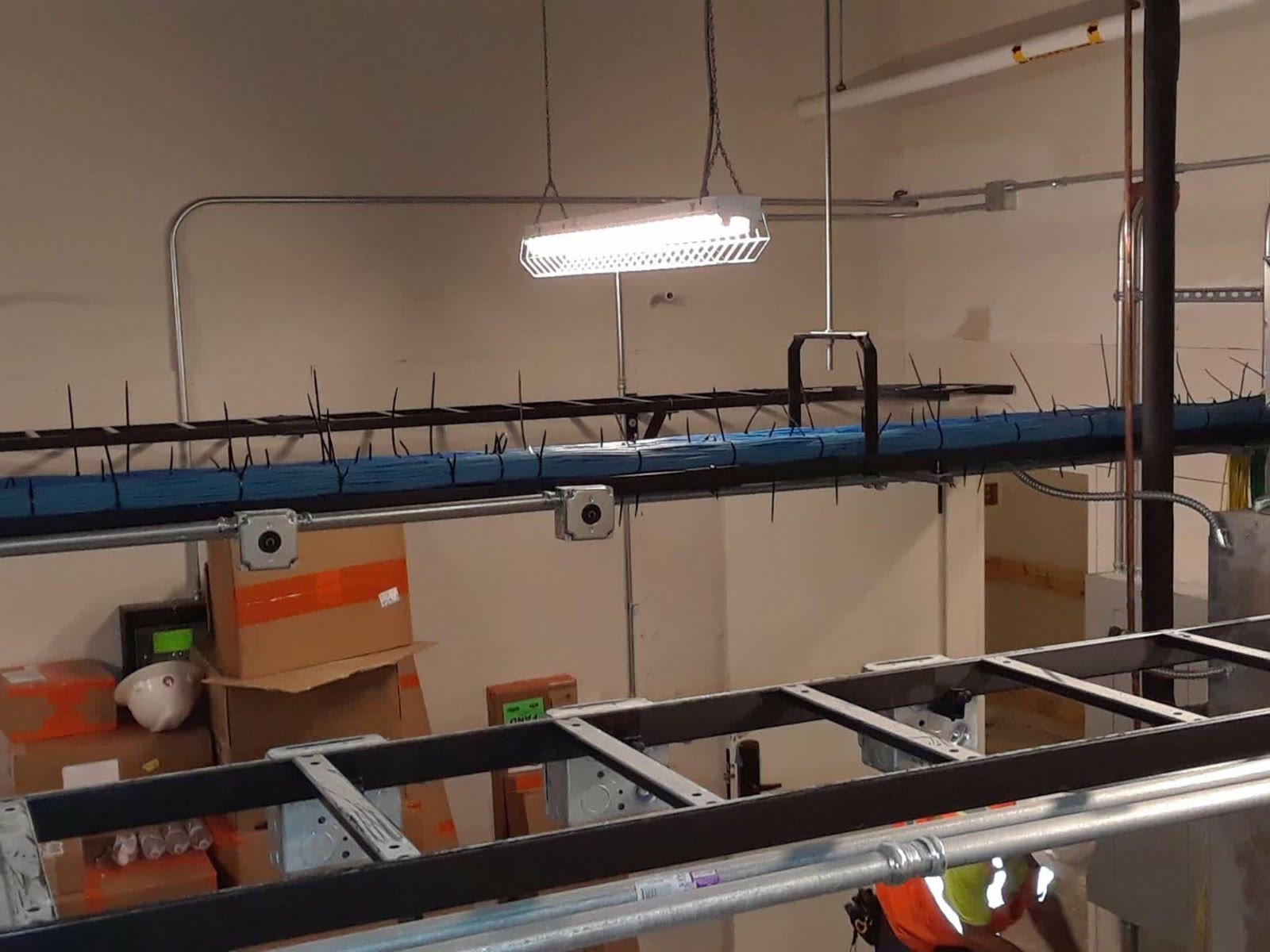 Network cabling on an overhead cable tray installed by Brightwire Electric
